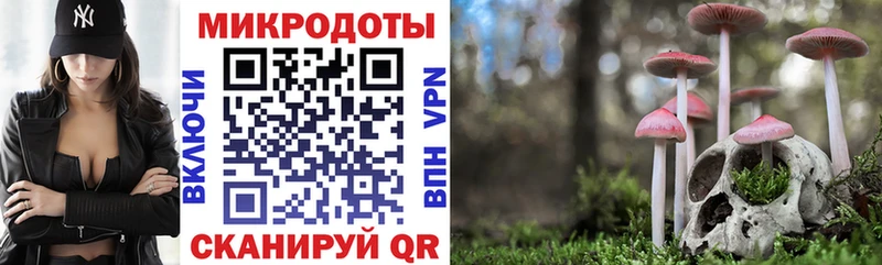 Псилоцибиновые грибы MAGIC MUSHROOMS  Томмот 